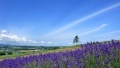 小穴黄色色情艹艹艹日本一地6日游  境外旅游 6880元/人